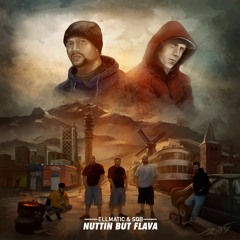 Nuttin' but Flava