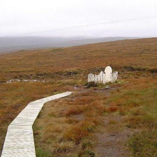 Bog Bodies by THE BEANS PODCAST Free Listening on SoundCloud