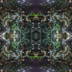 RASOHM - Forestiale Shadows (DJset Outrance 30)