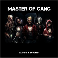 VAWERD & Schleier - Master Of Gang