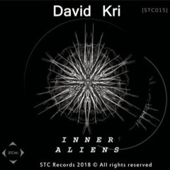 Inner Aliens EP - Entre Ten Galaxias [cut]