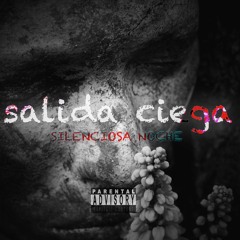 Silenciosa noche