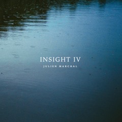 Insight XLI