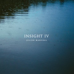 Insight XXXVI