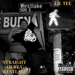 HIT THE STREETS