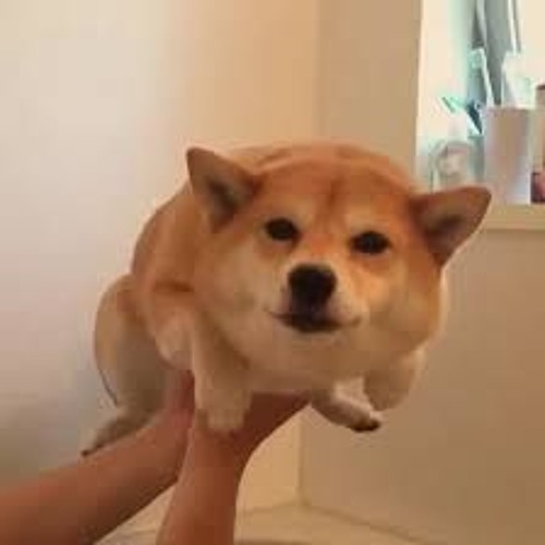 Stream Landing by Matt Rozman | Listen online for free on SoundCloud