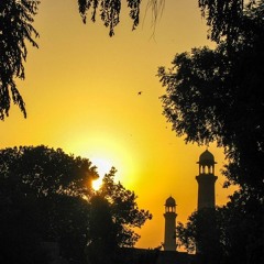 تموج السطور لذكر ابن باز