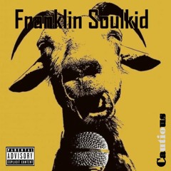 FranklinSoulkid - Cautious