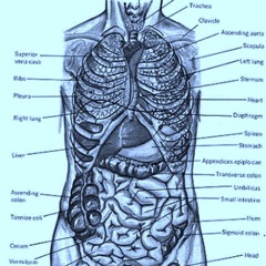 my body is growing numb i will see you there