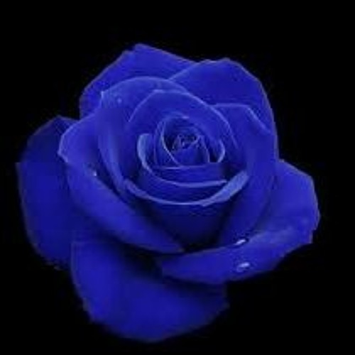 Neu Roses (Transgressor's Song)-Daniel Caeser Sax Cover
