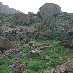 Mountain Spirits III