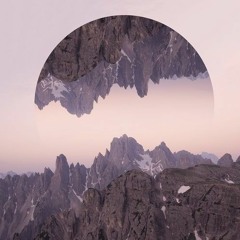 AlmØstHuman - Riddle