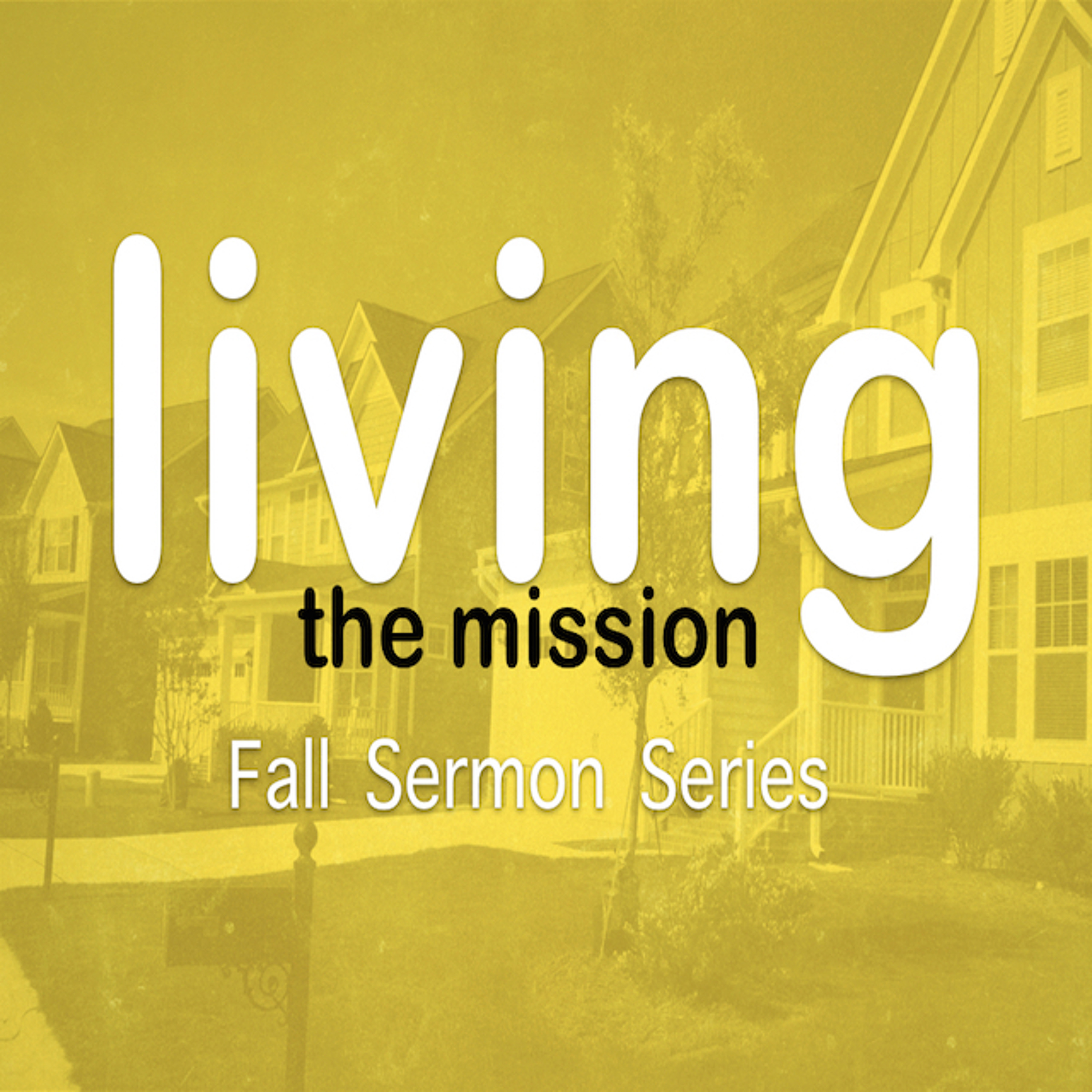 Living the Mission #8 - Nov 11, 2018 - W. Shannon Potter episode artwork