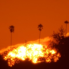 I'll Be There By The Morning