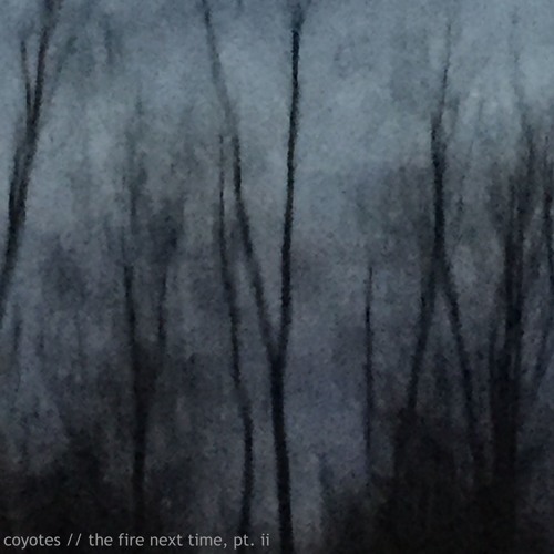 The Fire Next Time, Pt. II