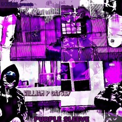 Purple Sleeve - Land Of Dealers
