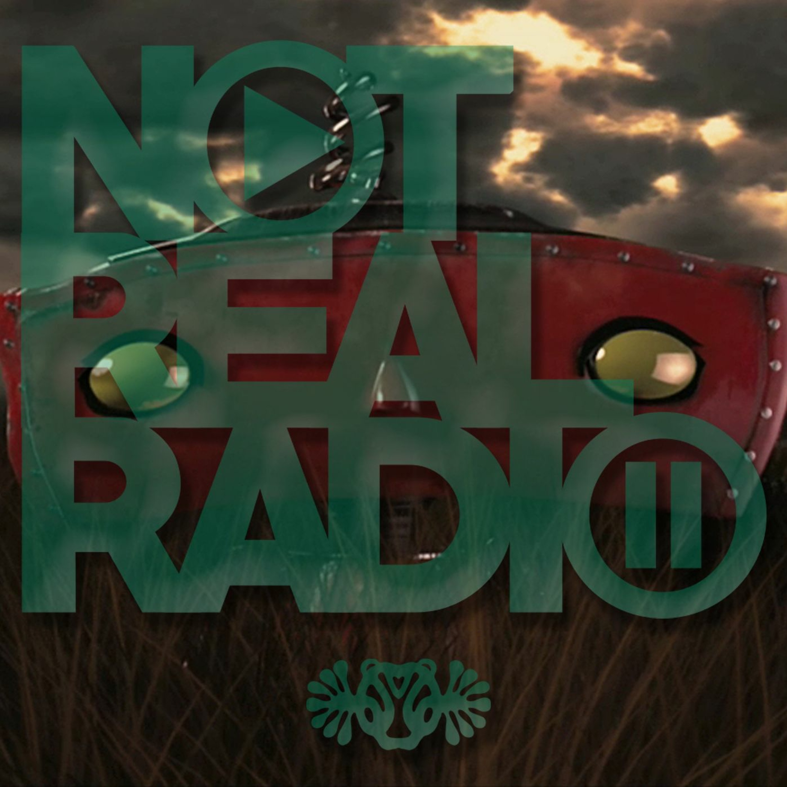 Not Real Radio