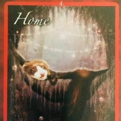 1. Home - Base Chakra