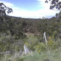 Kulin (Bunjil's land)