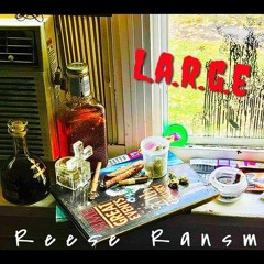 Reese Ransm- Working