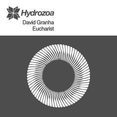 David Granha - Twenty Four Hours (Original Mix)