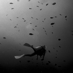 harkmong - lion power