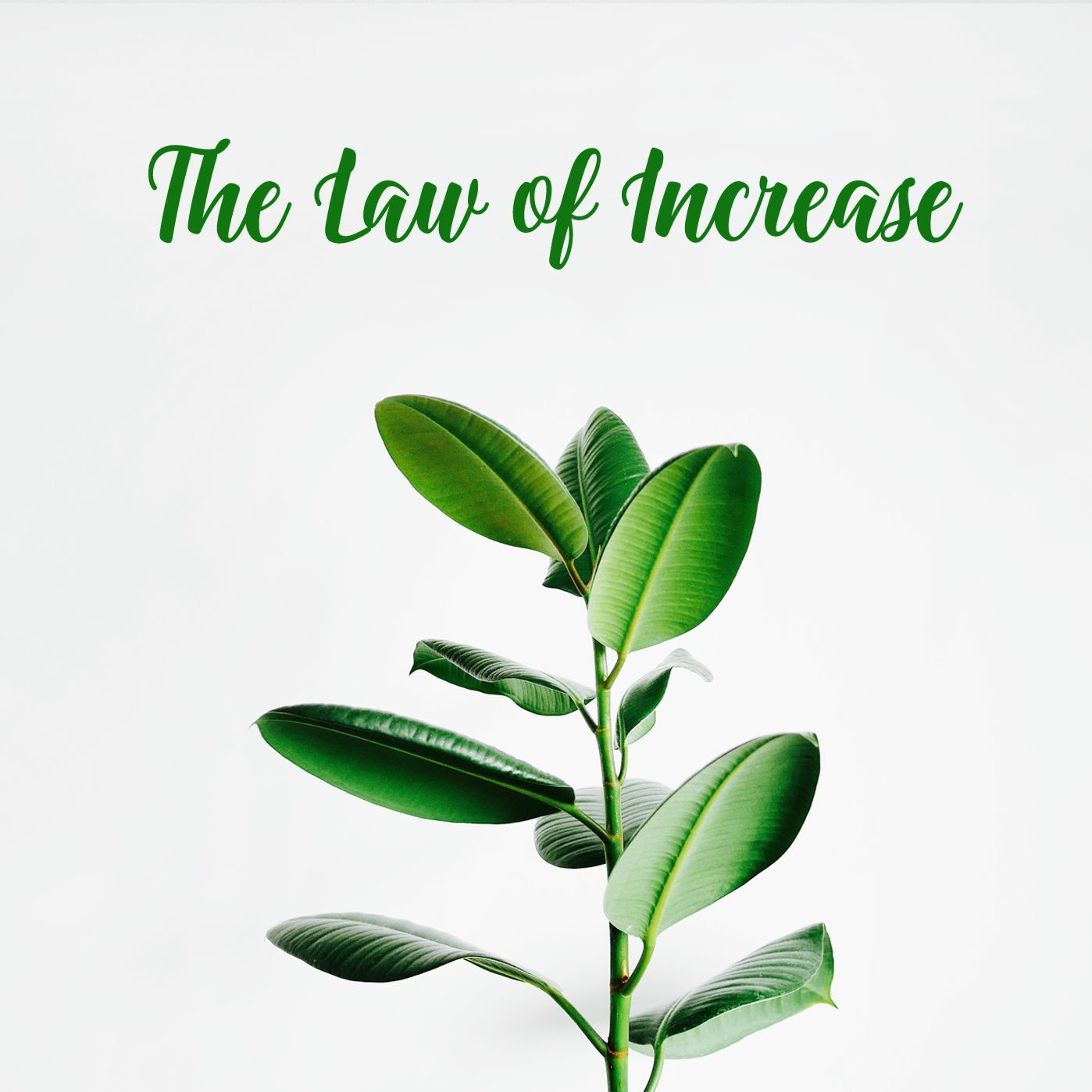 The Law of Increase episode artwork