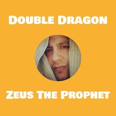 Double Dragon Ft Spitfire