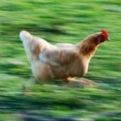 Slidan - Prosto Sigareta