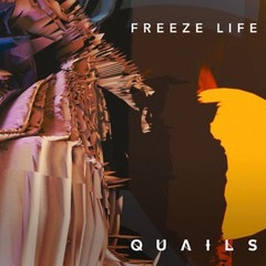 QUAILS - Freeze Life (Touch of Loft Remix Edit)CLIP