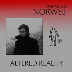 PNKMIX-25 | Norwell - Altered Reality