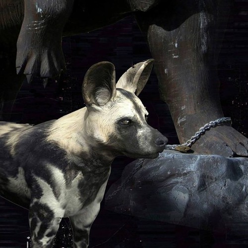 GTI • GLORIA 21/10/2018 • Macadam, Nantes