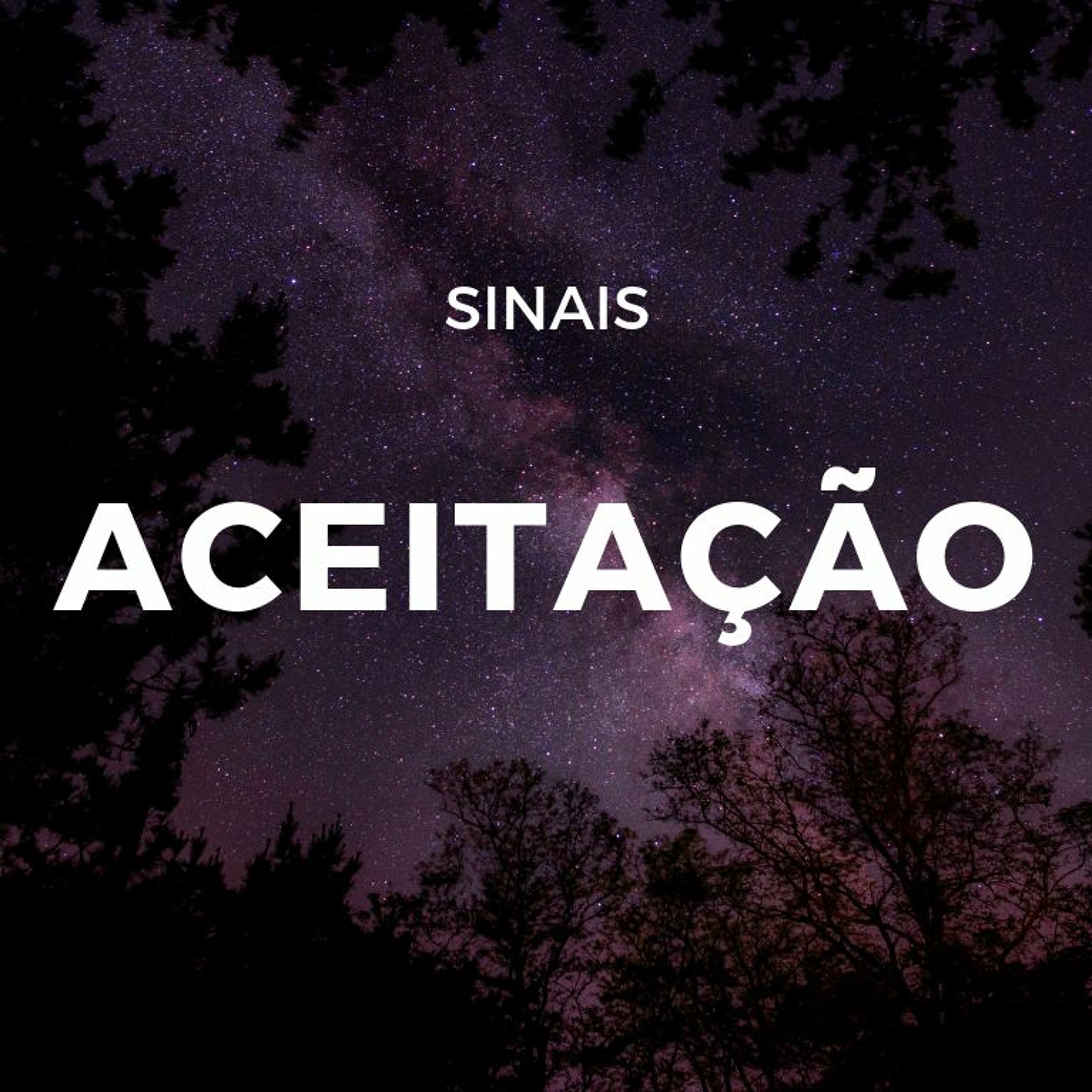 Andre Silva