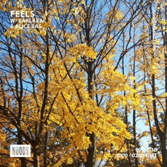 Feels w/ Bakläxa Noods Radio Nov '18 Guest Mix Alice Bas