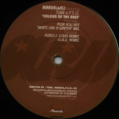 Colour Of The Bass (Pluk You mix)