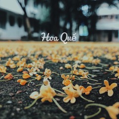 Hoa Quế