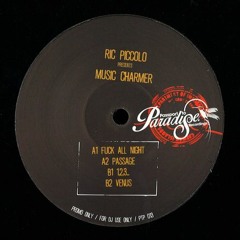 Fuck All Nite - Music Charmer 12” EP [PTP13]