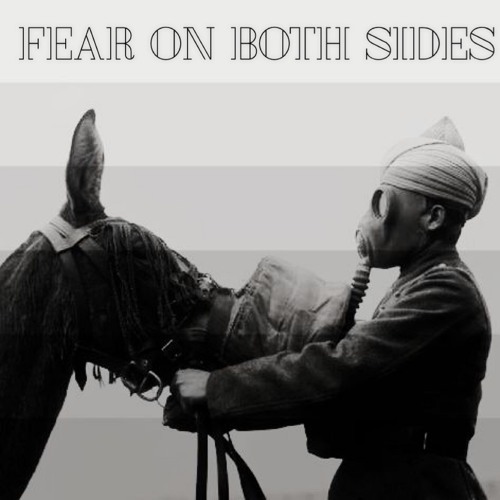 Fear On Both Sides - Trashed