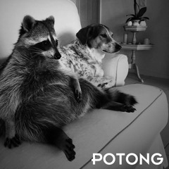 Le Silence des Loques