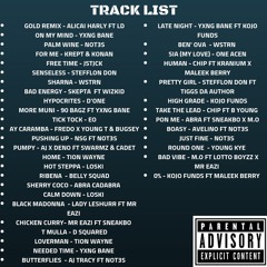 HIP HOP\RNB\RAP MIXES