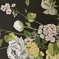 Lugares -  Nectar Gang (beat remix)