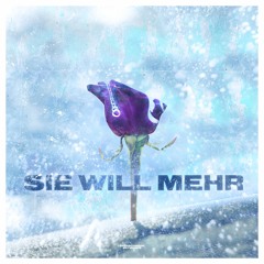 Sie will mehr (feat. playboi52)