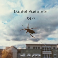 Daniel Steinfels is hippie 34.0 / The Bug