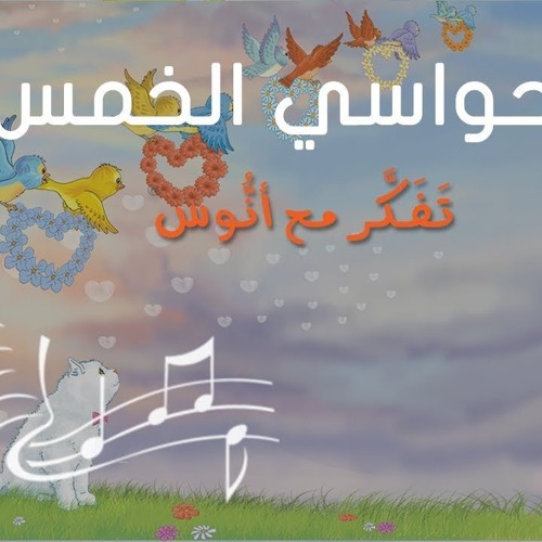 حواسي الخمس - (المستوى الأول) من منهاج تفكر مع أنوس