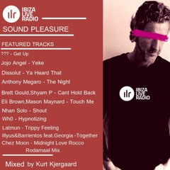 Sound Pleasure # 23 Mixed by Kurt Kjergaard Ibizaliveradio.com