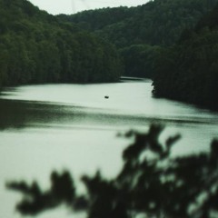 Perlboote Im Rosenwasser