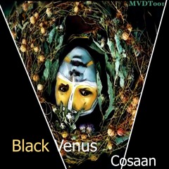 FREE DL: Wākhan - Cosaan (Original Mix)[MVDT001]