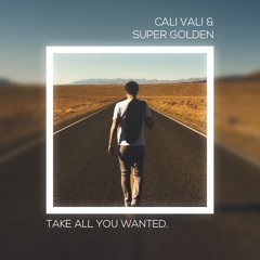 Take All You Wanted ft. Cali Vali