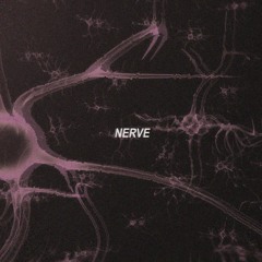 Nerve [CLIP]