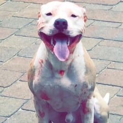 Who i Am (Prod. Dylan Skyler)